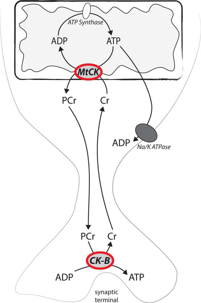 Fig. 2