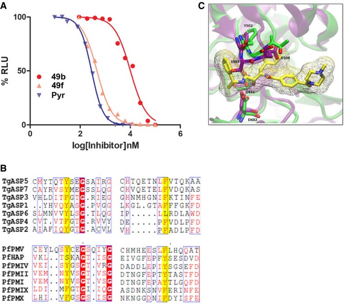 Figure EV3