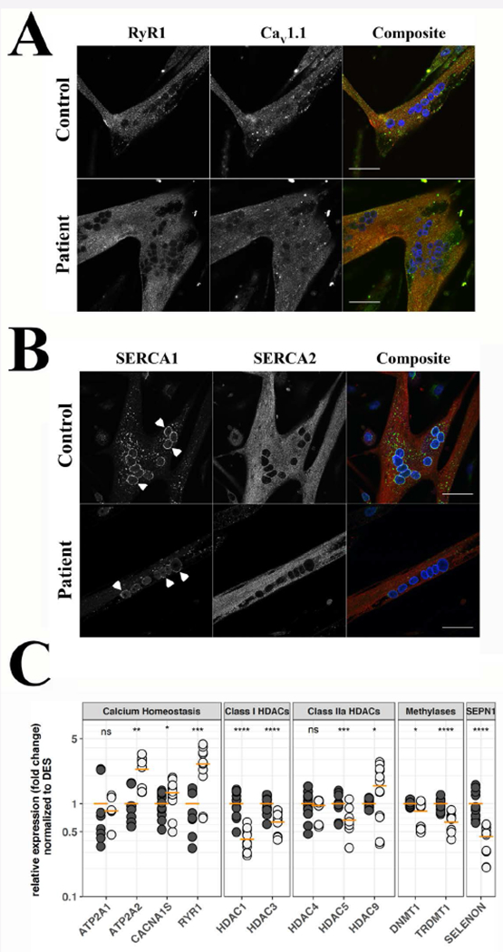 Figure 2: