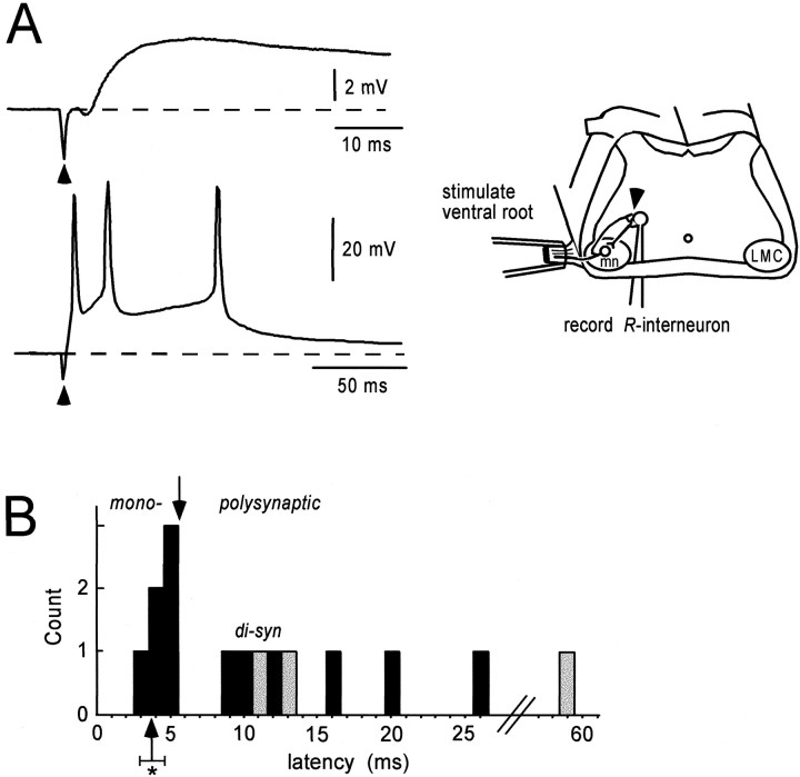 Fig. 1.