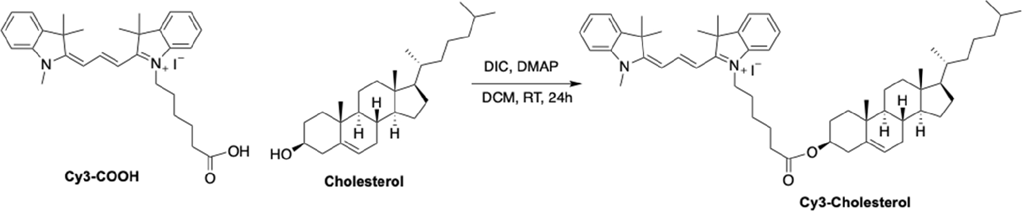 Scheme 5.