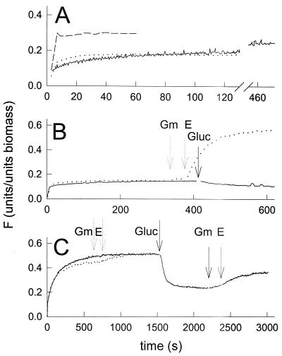 FIG. 2.