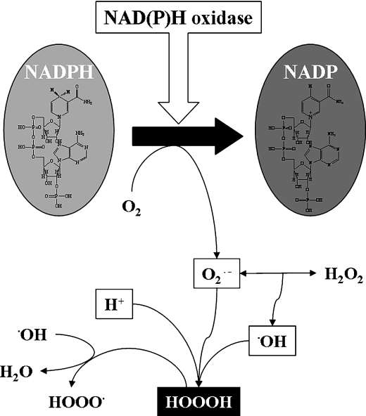 Fig. 7