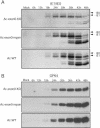FIG. 9.