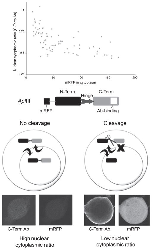 Fig. 4