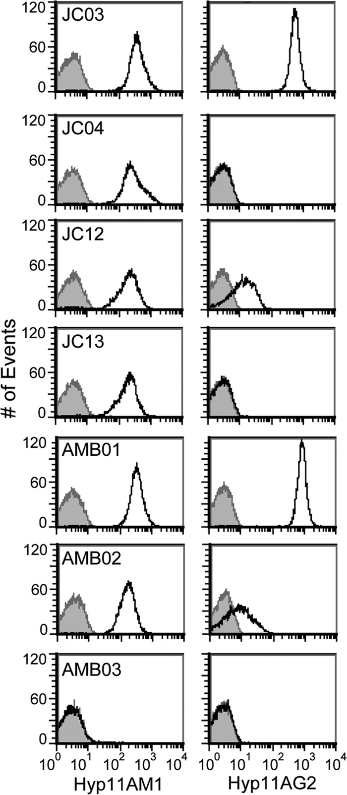 FIG 2