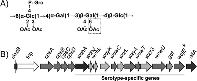 FIG 1