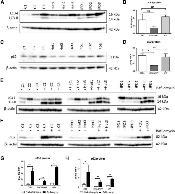 Figure 5