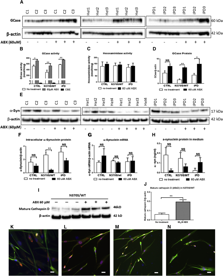 Figure 6