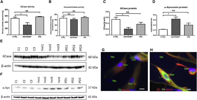 Figure 4