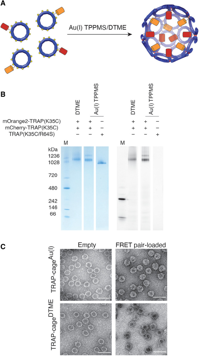 Fig. 3.