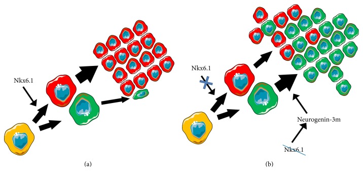 Figure 11