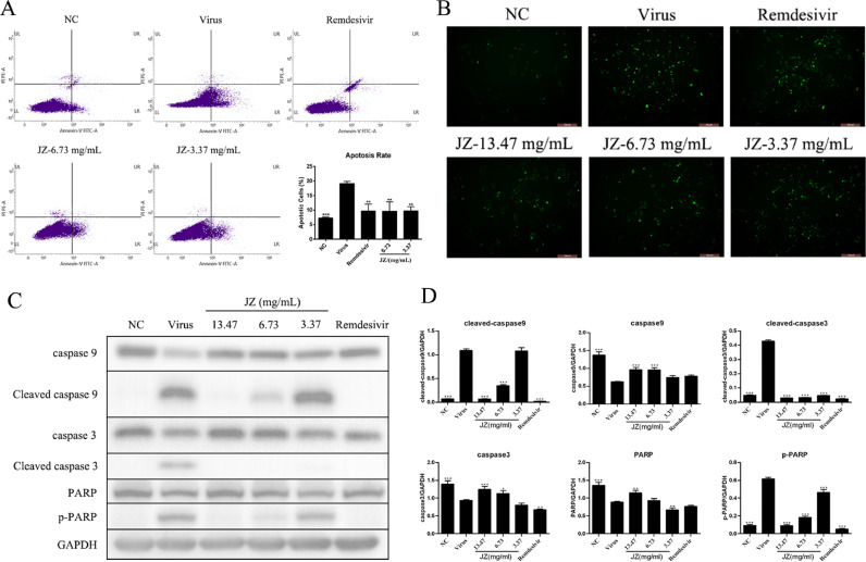 Fig. 9