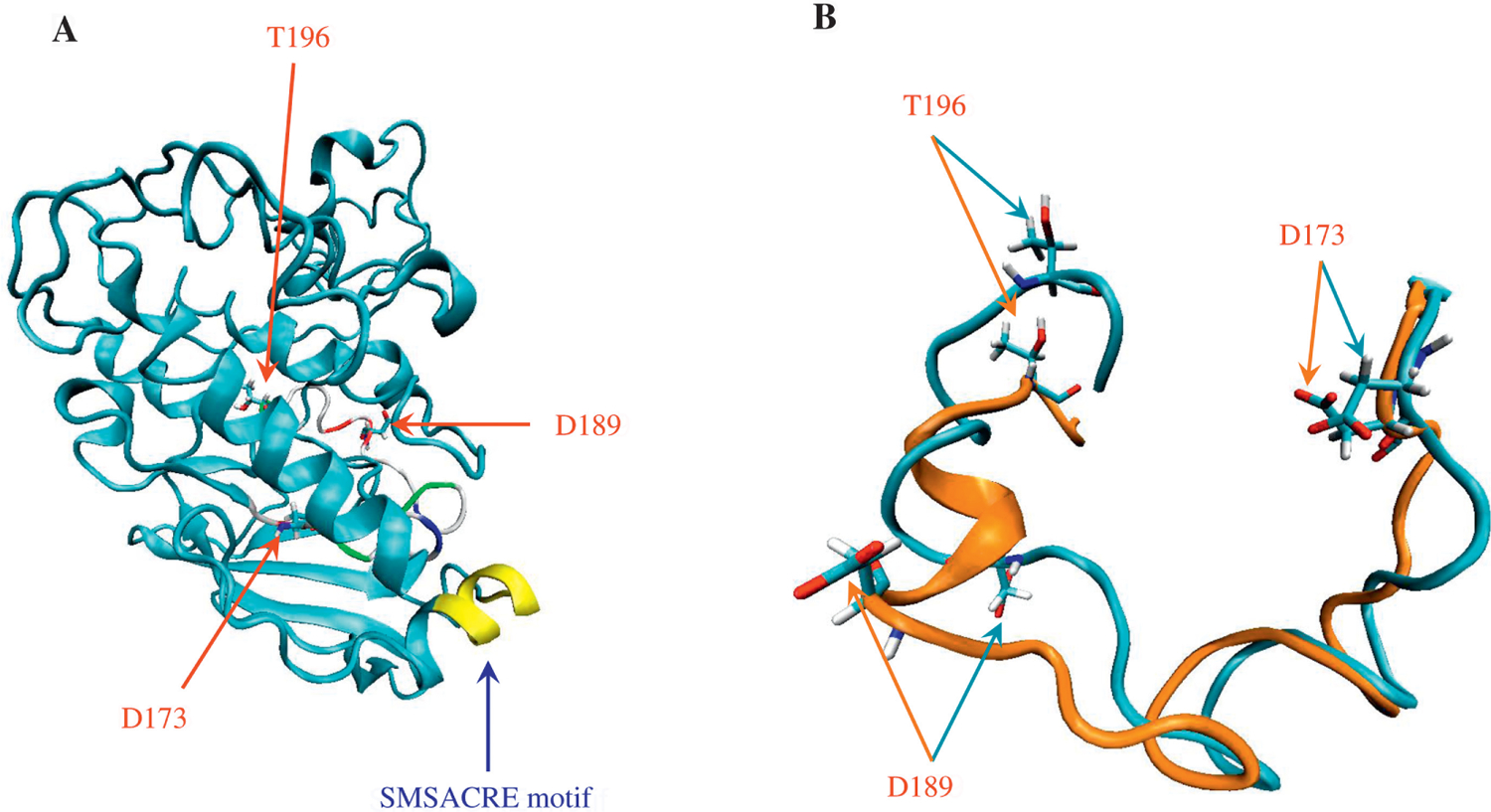 Fig. 6.