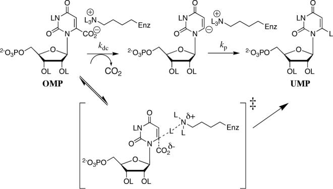 Scheme 3