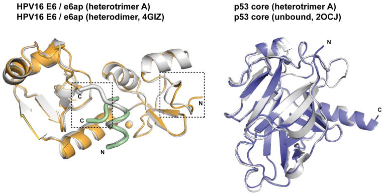 Extended Data Fig. 5