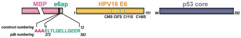 Extended Data Fig. 1