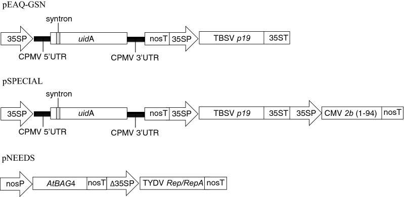 Fig. 1