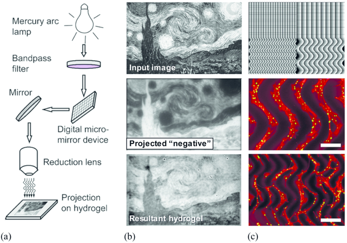 Figure 3: