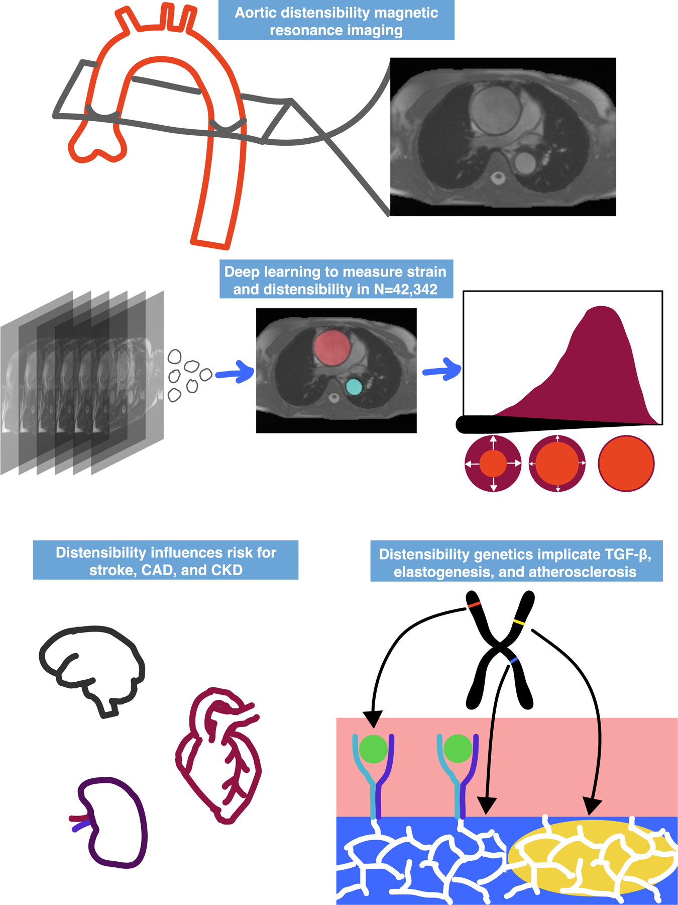 Central illustration: