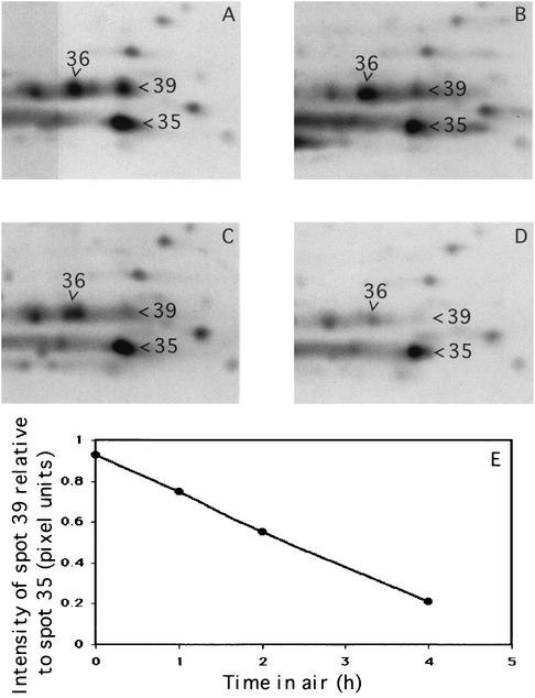 FIG. 7.