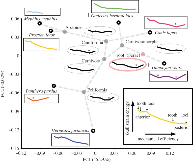 Figure 2.