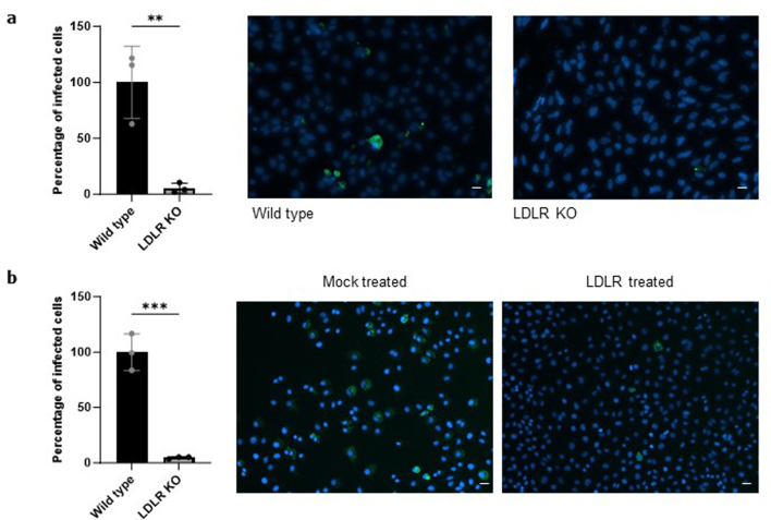 Extended Data Fig. 4