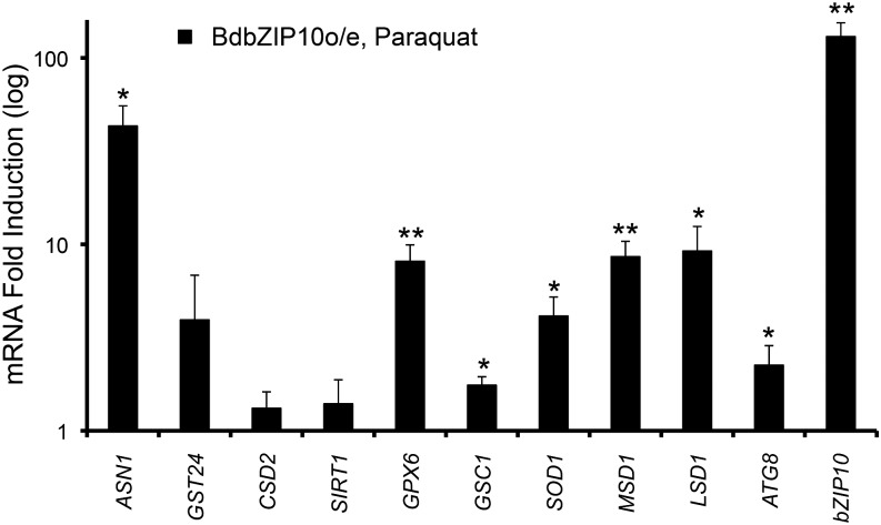 Figure 5.