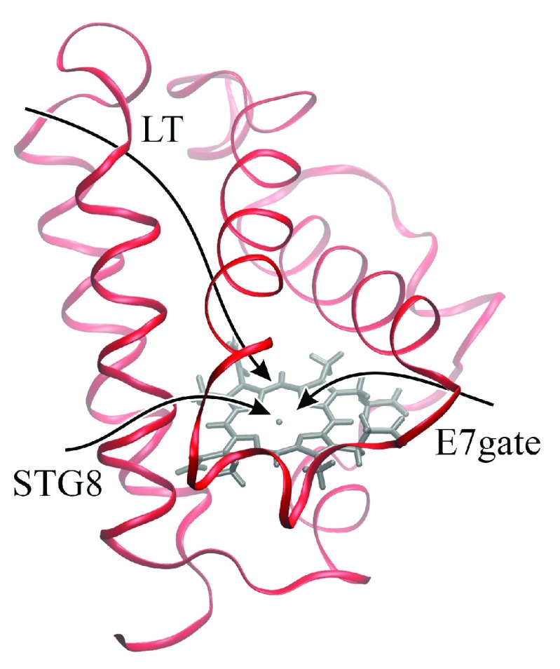 Figure 1. 