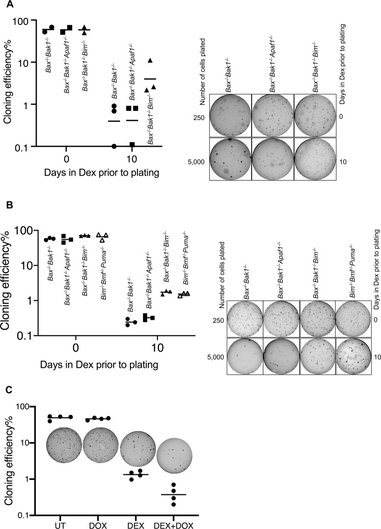 Fig. 7