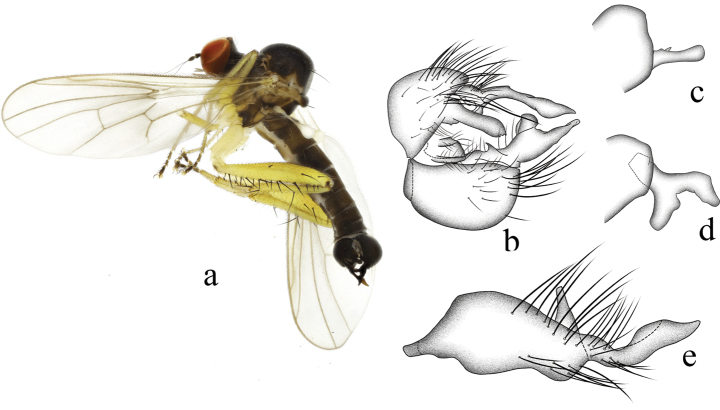 Figure 13.