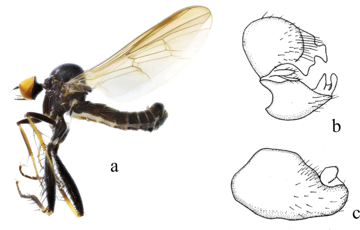 Figure 9.