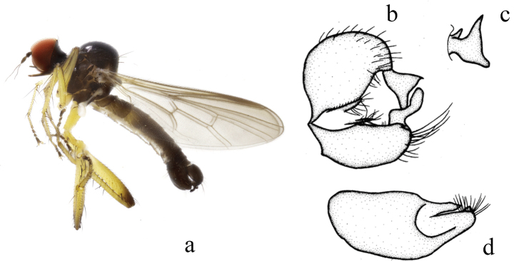 Figure 15.