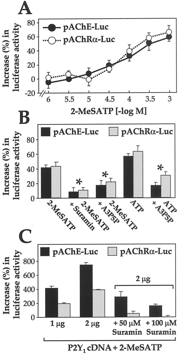 Fig. 10.