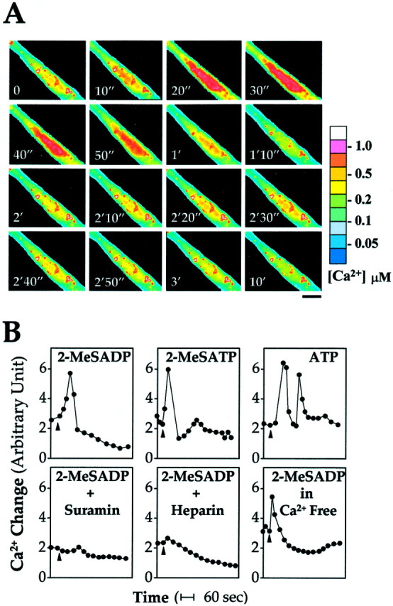 Fig. 4.