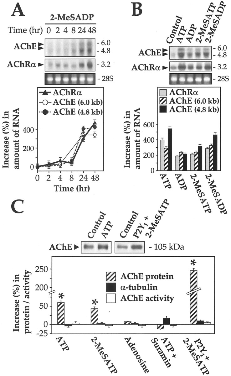 Fig. 9.