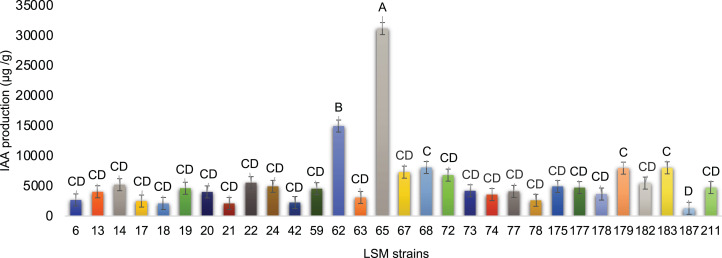 Figure 5