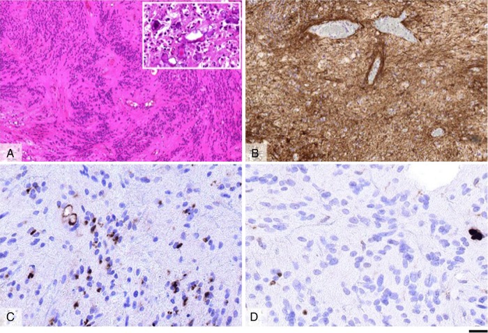 Figure 2: