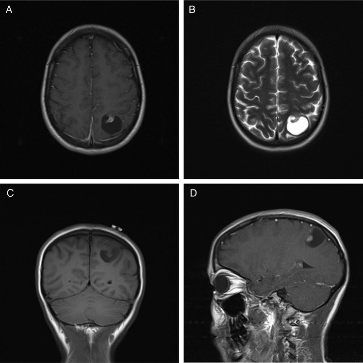 Figure 1: