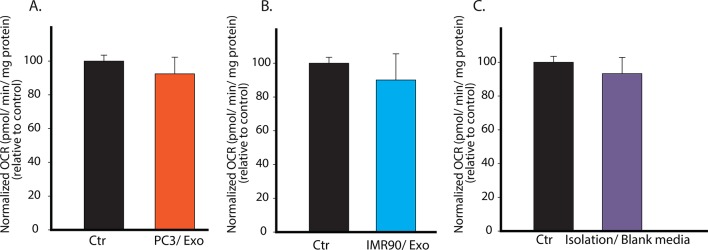 Figure 2—figure supplement 1.