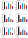 Figure 7—figure supplement 1.