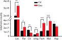 Figure 3—figure supplement 1.