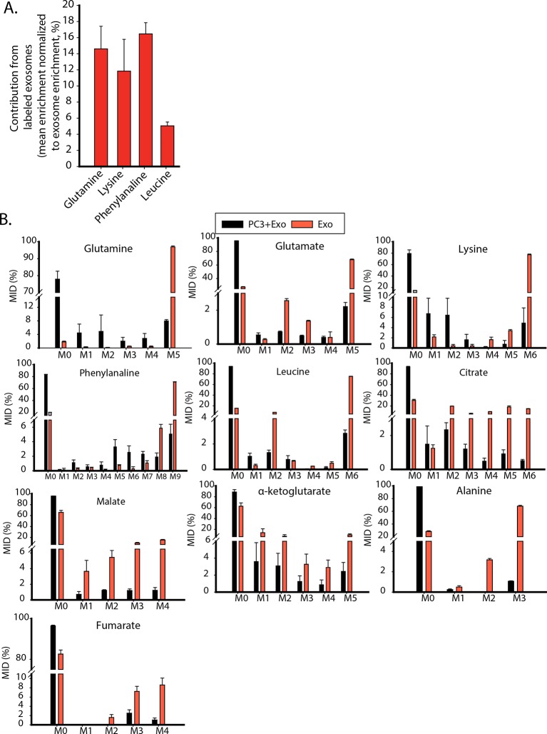 Figure 6—figure supplement 1.