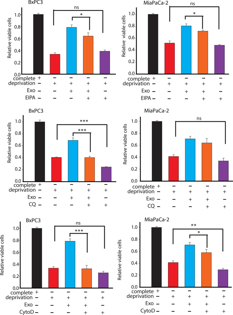 Figure 7—figure supplement 1.