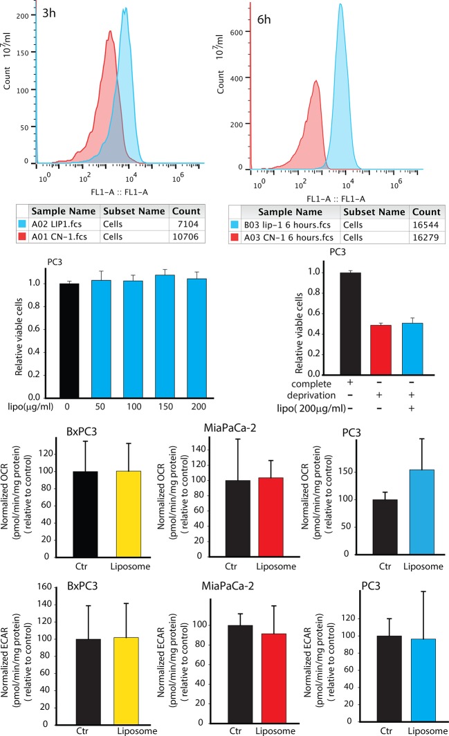 Figure 2—figure supplement 2.