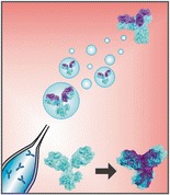 Graphical Abstract