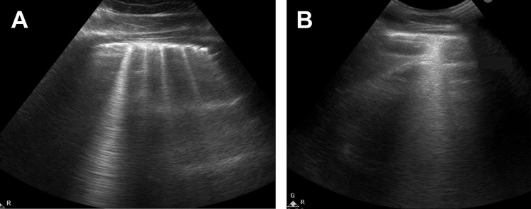 Fig. 5