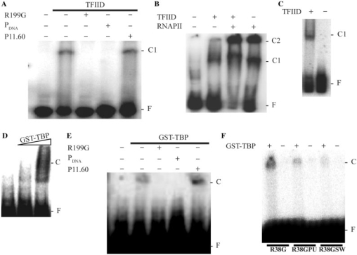 Figure 4.