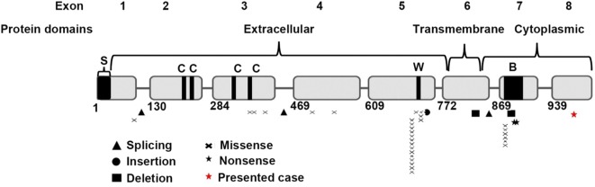 Fig. 4