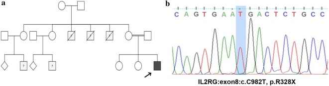 Fig. 1